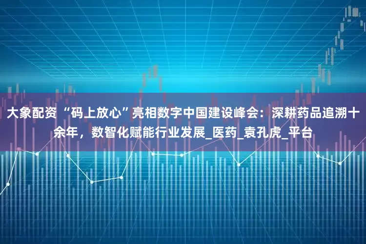 大象配资 “码上放心”亮相数字中国建设峰会：深耕药品追溯十余年，数智化赋能行业发展_医药_袁孔虎_平台