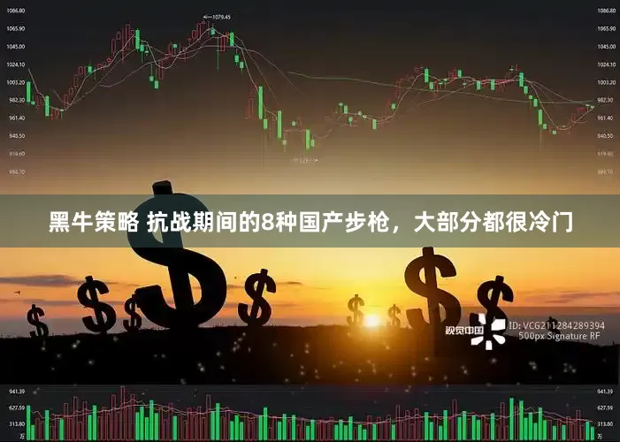 黑牛策略 抗战期间的8种国产步枪，大部分都很冷门