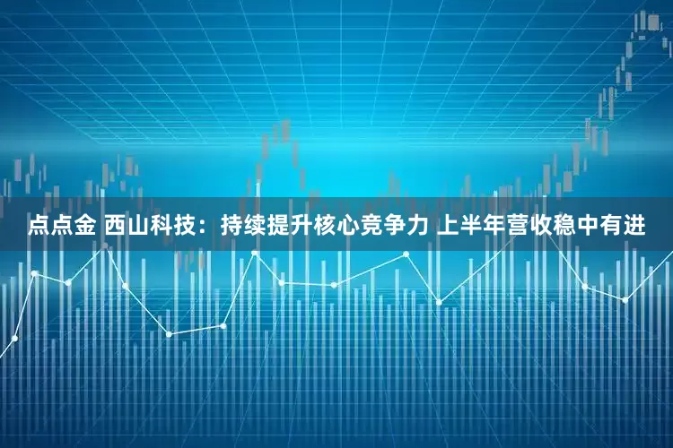 点点金 西山科技：持续提升核心竞争力 上半年营收稳中有进