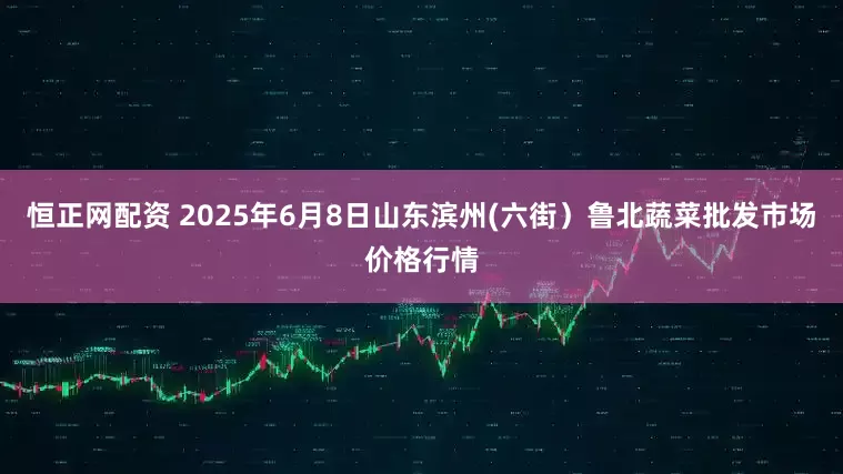 恒正网配资 2025年6月8日山东滨州(六街）鲁北蔬菜批发市场价格行情